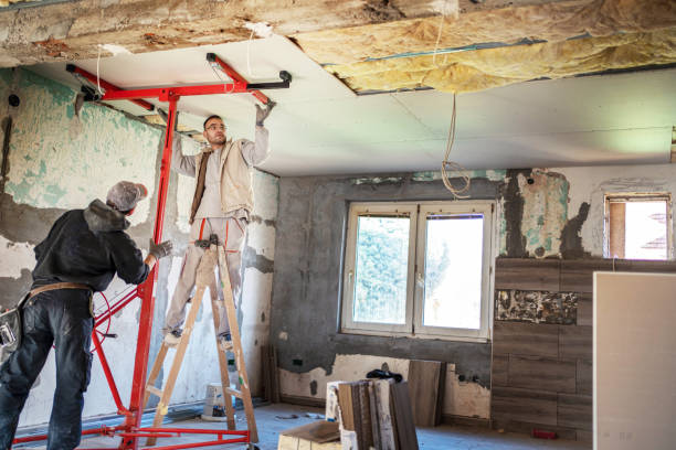Best Residential Insulation in Hollywood, FL